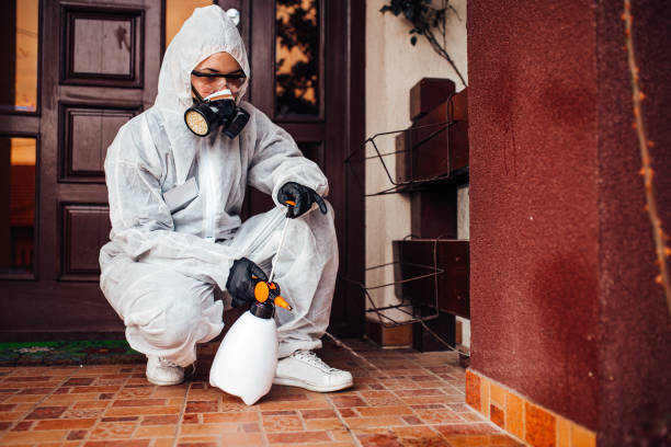Reliable Bed Bug Control contractor in South Miami, FL by Nex Pest Control