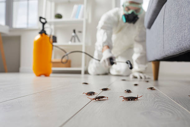 Trusted Cockroach Control service in South Miami, FL - Nex Pest Control